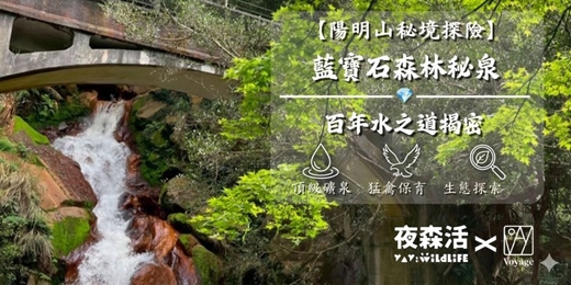 event-banner-【2026 陽明山秘境探險】💎藍寶石森林秘泉 X 日觀夜訪百年古道