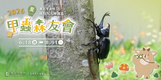 event-banner-甲蟲森友會｜留住森林好友的溫暖「虫憶」