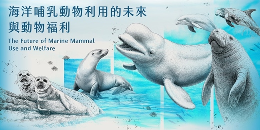 event-banner-第四屆展演動物福利國際研討會:海洋哺乳動物利用的未來與動物福利──科學證據、國際規範與管理轉型