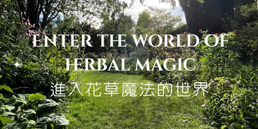 event-banner-進入仲夏花草魔法 - 艾草