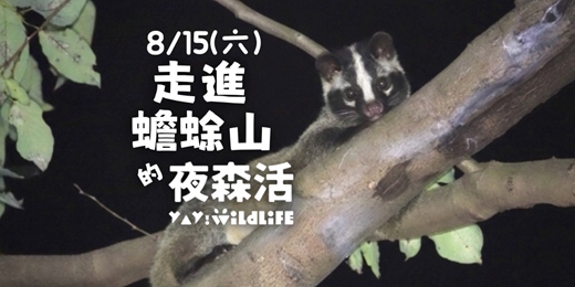 event-banner-8/15(六) 走進蟾蜍山的夜森活_都市夜間生態體驗