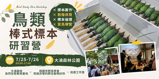 event-banner-鳥類棒式標本研習營|標本實作 × 救傷保育 × 標本倫理 × 賞鳥導覽