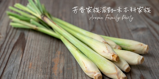 event-banner-【芳香家族派對 Aroma Family Party~禾本科家族】-單堂體驗/週五假日場次/線上回放~芳療 香草 氣味練習