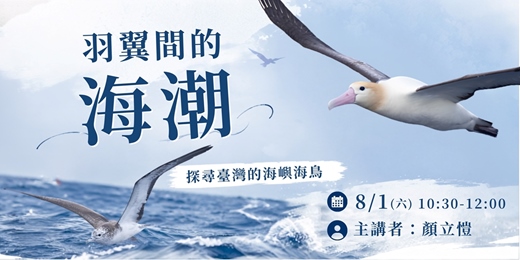 event-banner-大湳森林公園生態講座【羽翼間的海潮-探尋臺灣的海嶼海鳥】|2026年8月1日