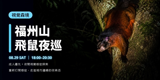 event-banner-8/29(六) 視覺森境《福州山飛鼠夜巡》