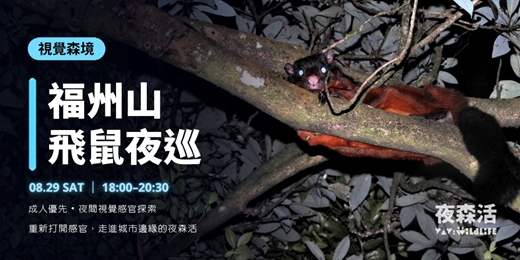 event-banner-8/29(六) 視覺森境《福州山飛鼠夜巡》