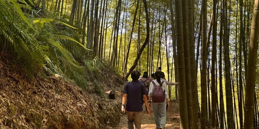 event-banner-2026草嶺石壁森林療癒森呼吸-小旅行
