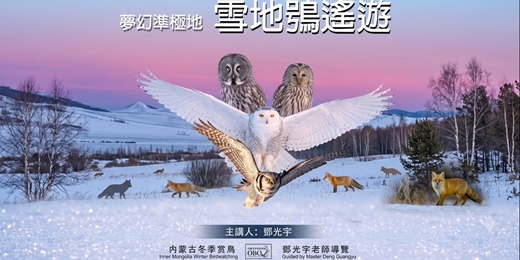 event-banner-大湳森林公園生態講座【夢幻準極地:雪地鴞遙遊】|2026年9月5日