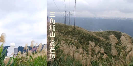 event-banner-【小百岳系列】北台西方盟主 一等三角點【大棟山】輕鬆行 賞芒趣