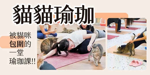 event-banner-貓貓瑜珈🐈被貓咪包圍的一堂瑜珈課!!