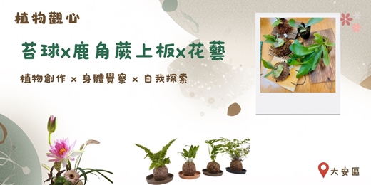 event-banner-植物觀心~苔球x鹿角蕨x花藝