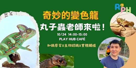 event-banner- 奇妙變色龍動物觀察—丸子蟲老師的自然奇幻世界 l PLAY HUB Café (近空總國家文化基地)
