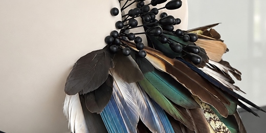 event-banner-標本藝術私學坊｜Taxidermy Art Workshop