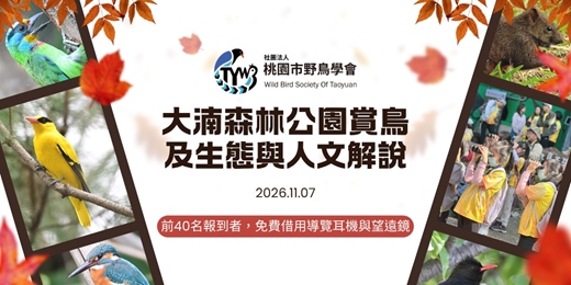 event-banner-大湳森林公園賞鳥及生態與人文解說｜2026年11月7日