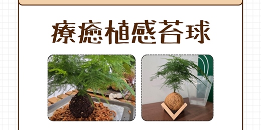 event-banner-【八德區-景雲分館】11/7(六)13:30-16:00療癒植感苔球