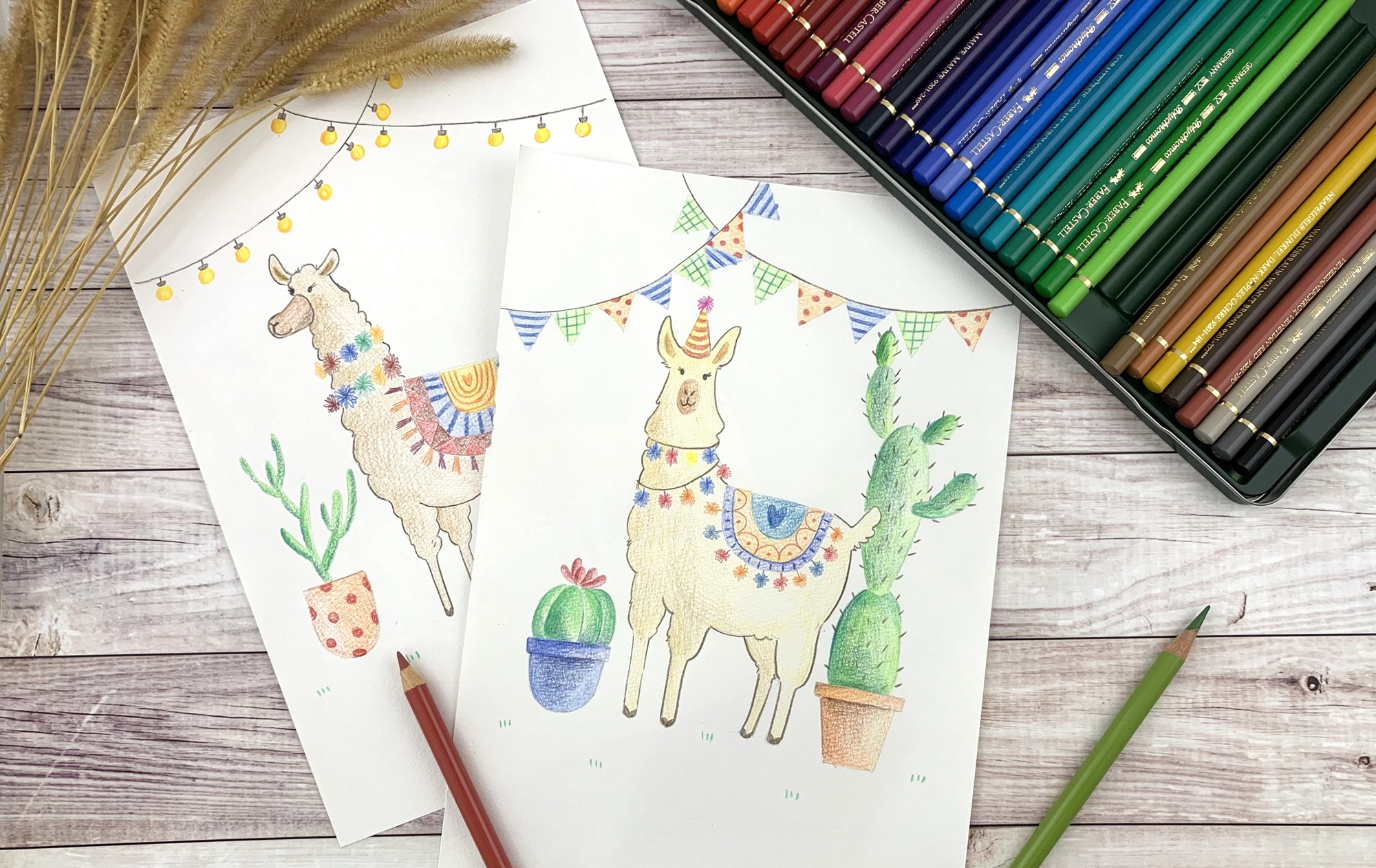 柔伊插畫工作坊 油性色鉛筆課 繽紛羊駝 Accupass 活動通