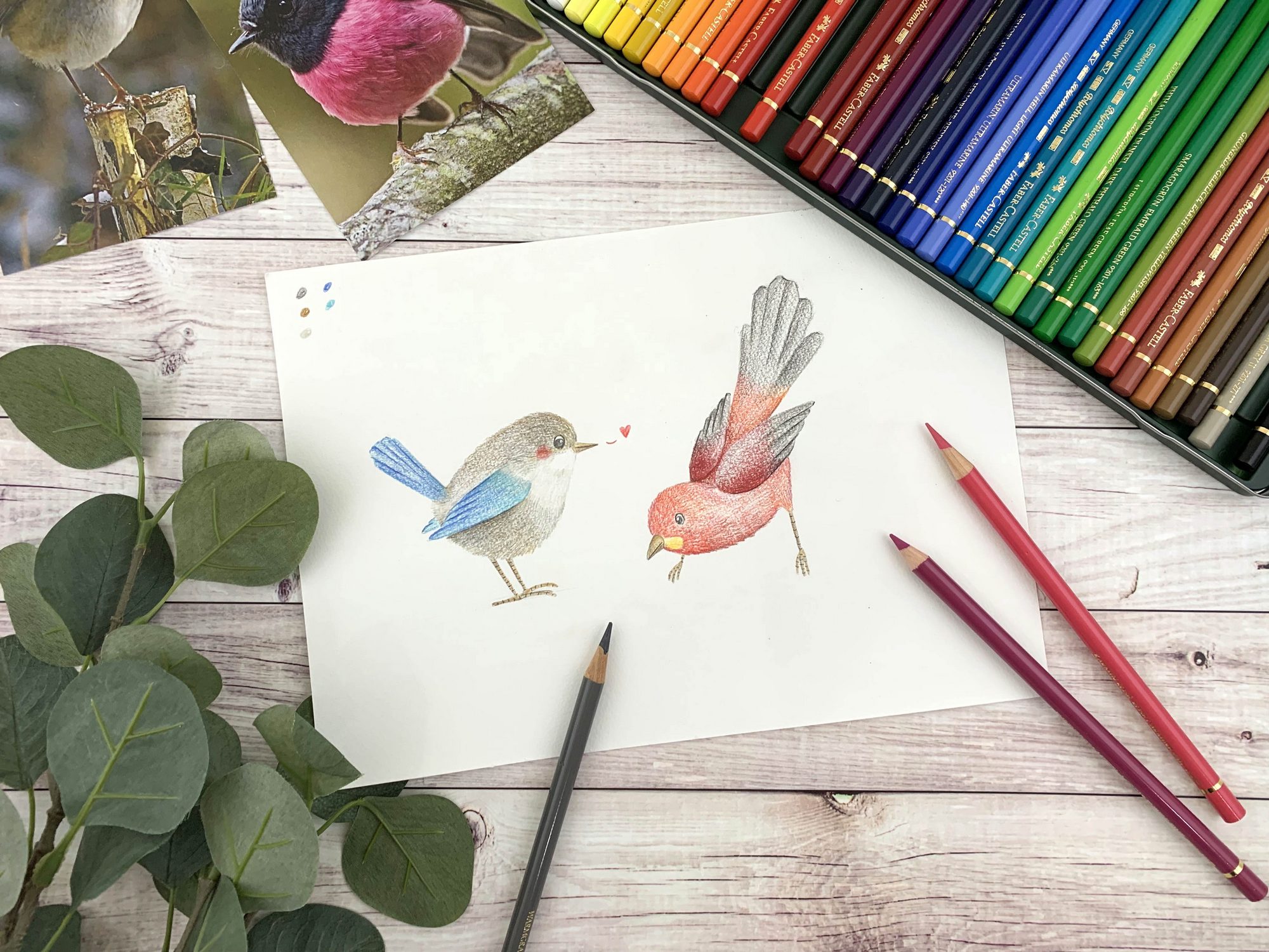 柔伊插畫工作坊 油性色鉛筆課 可愛小鳥 Accupass 活動通