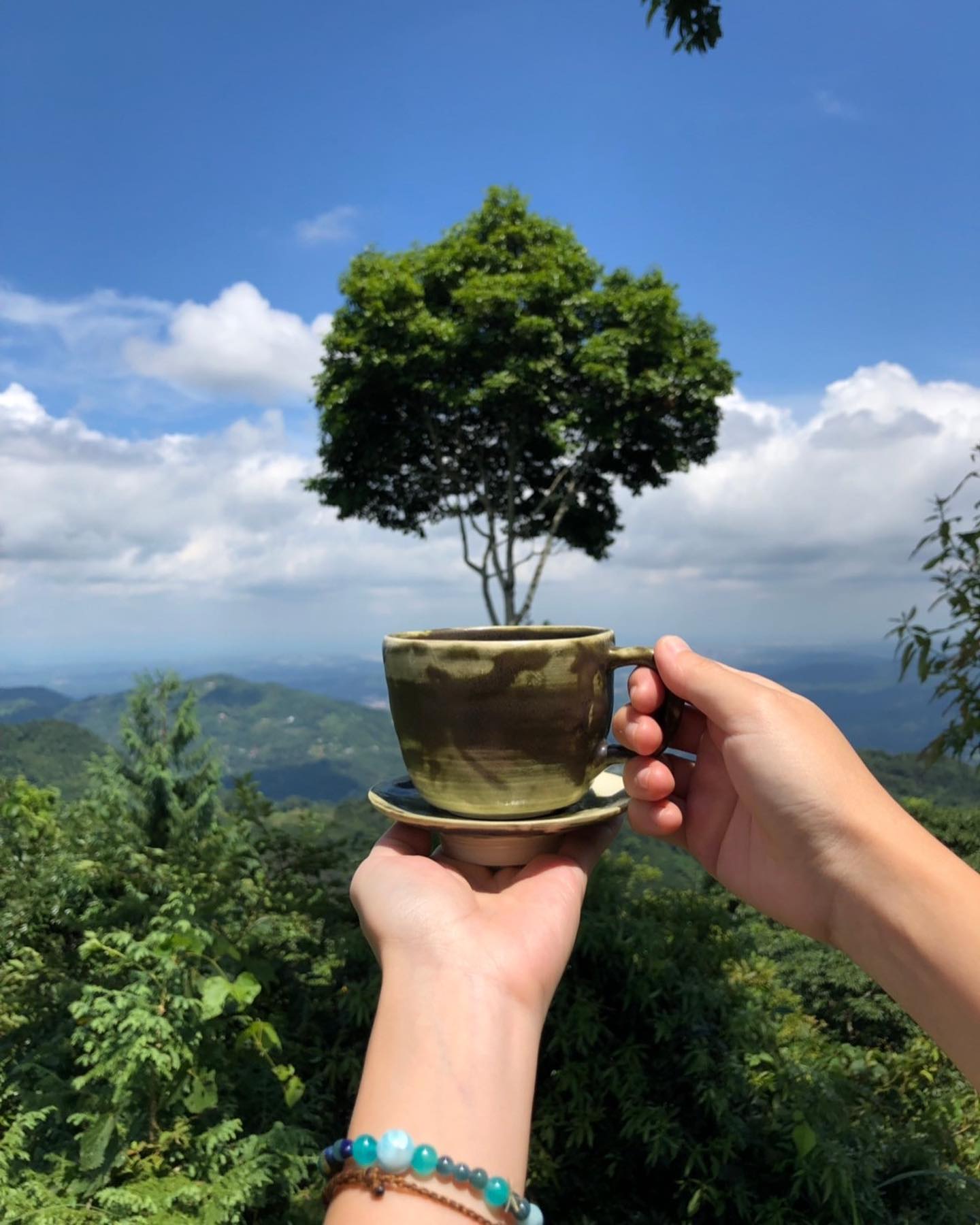 書店裡遇見小陶器 REEDS cafe x gala gala｜Accupass 活動通