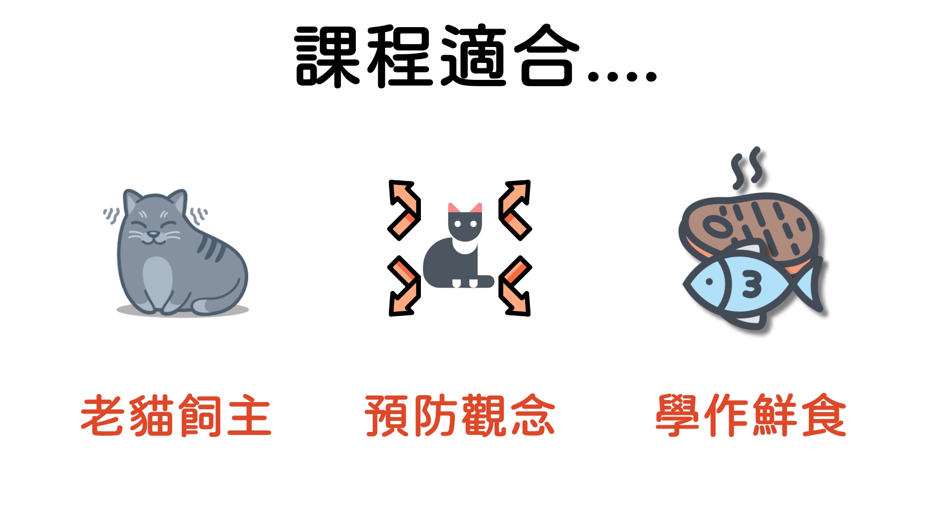 課程適合：老貓飼主｜增加預防概念｜想了解鮮食手作