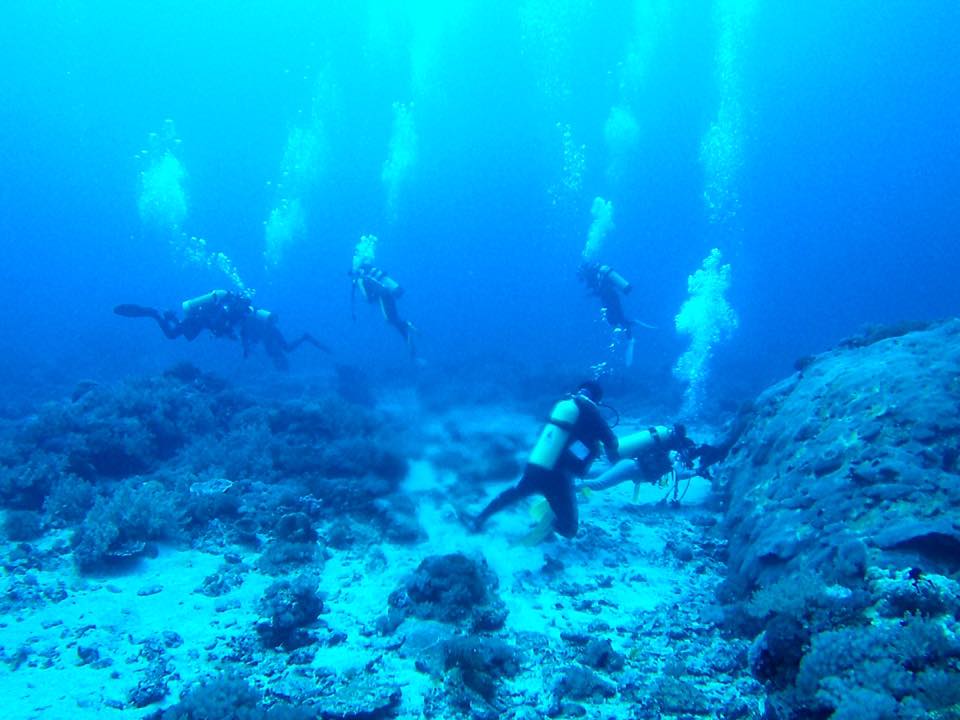 潛水 海面下的世界 東北鼻頭角潛水半日體驗 Accupass 活動通