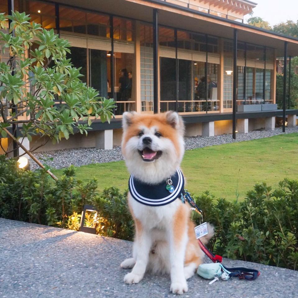 大和模特的日常