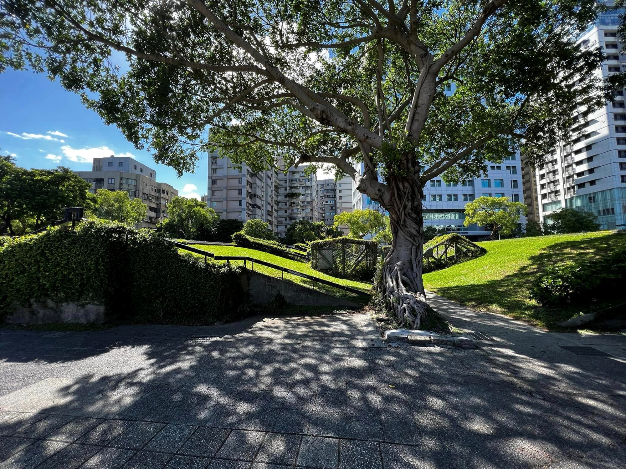 好日市集｜四四南村