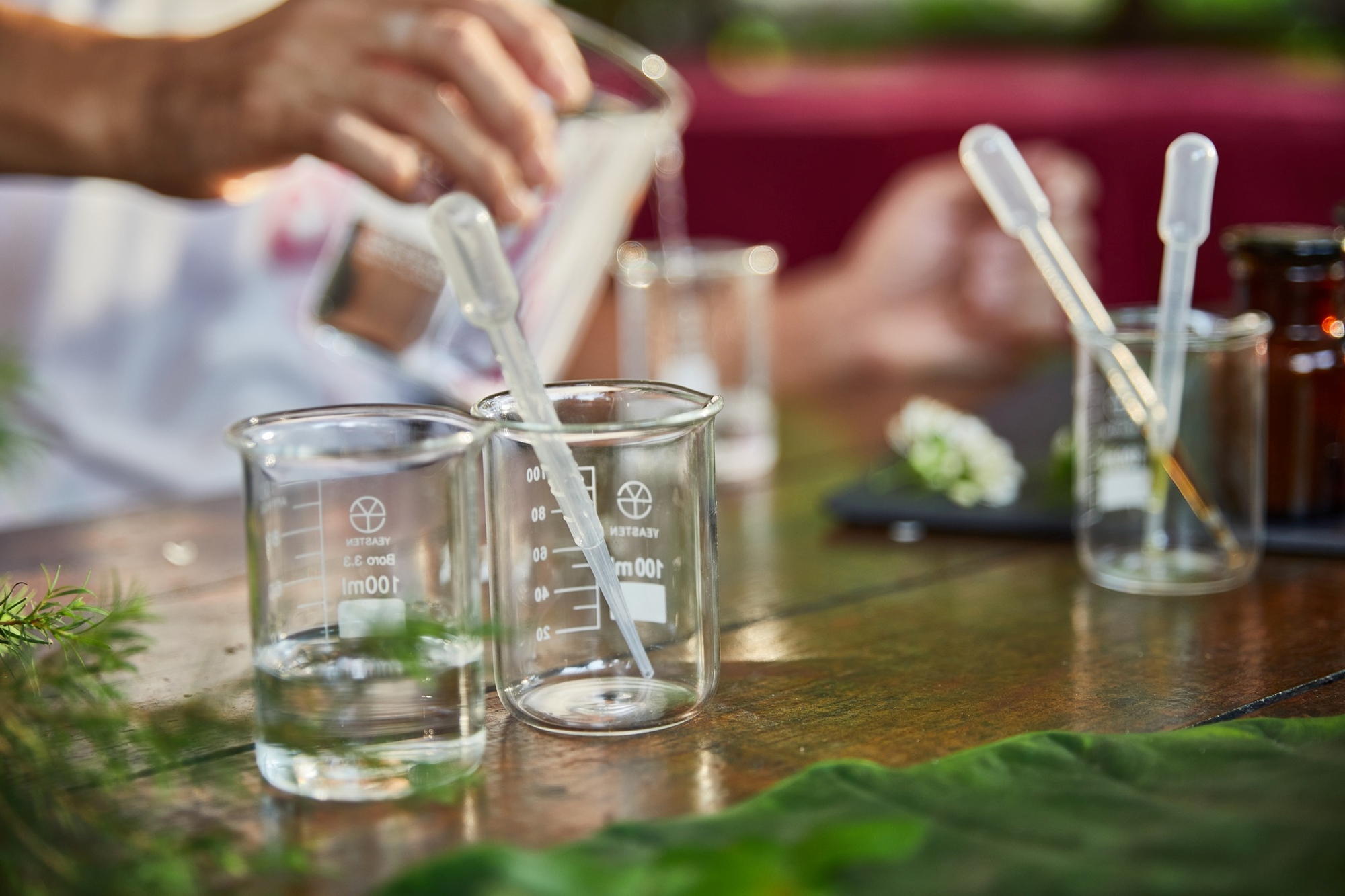 安妮公主花園-DIY體驗(澳洲茶樹萃取純露)