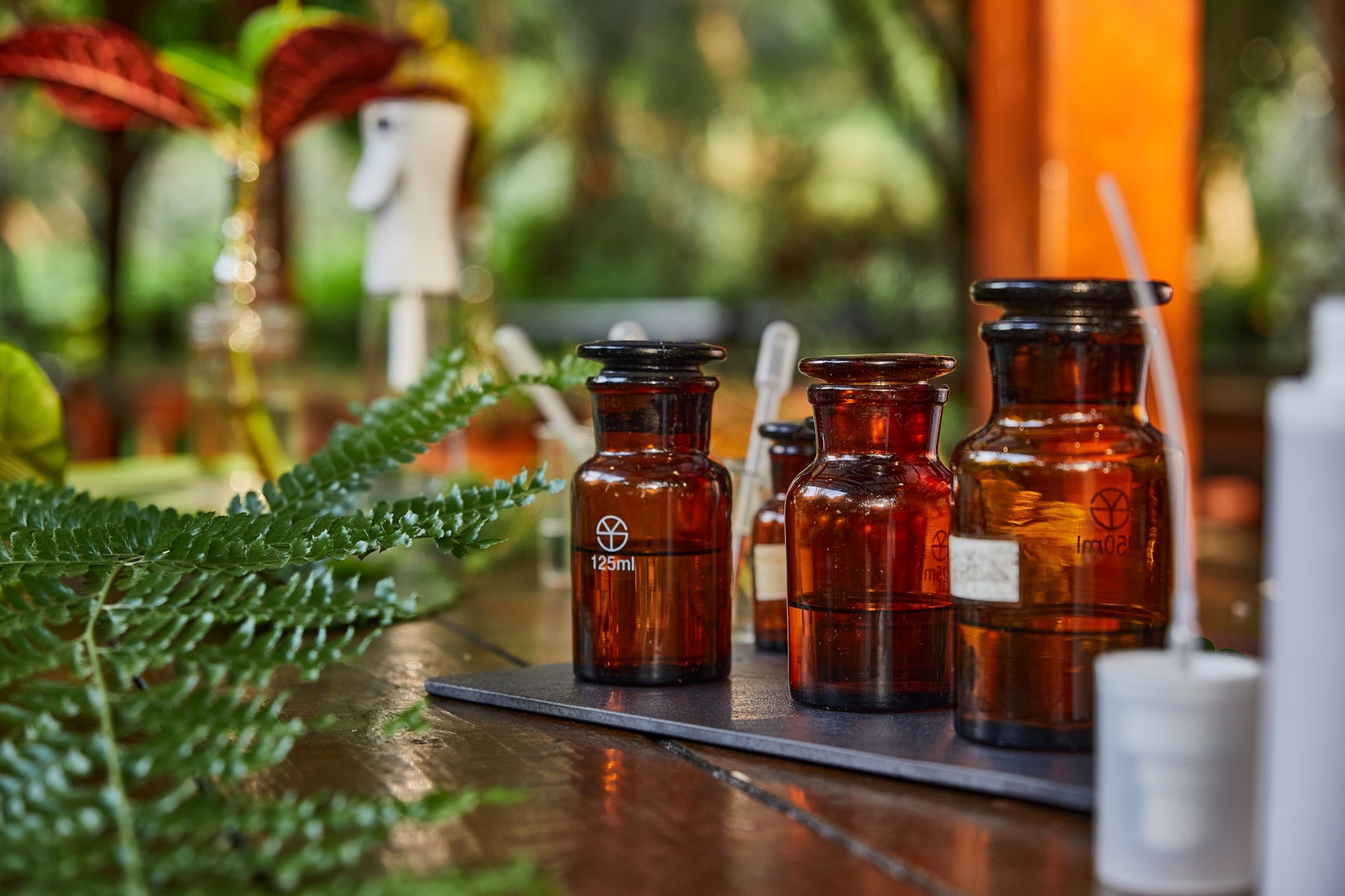 安妮公主花園-DIY體驗(澳洲茶樹萃取純露)