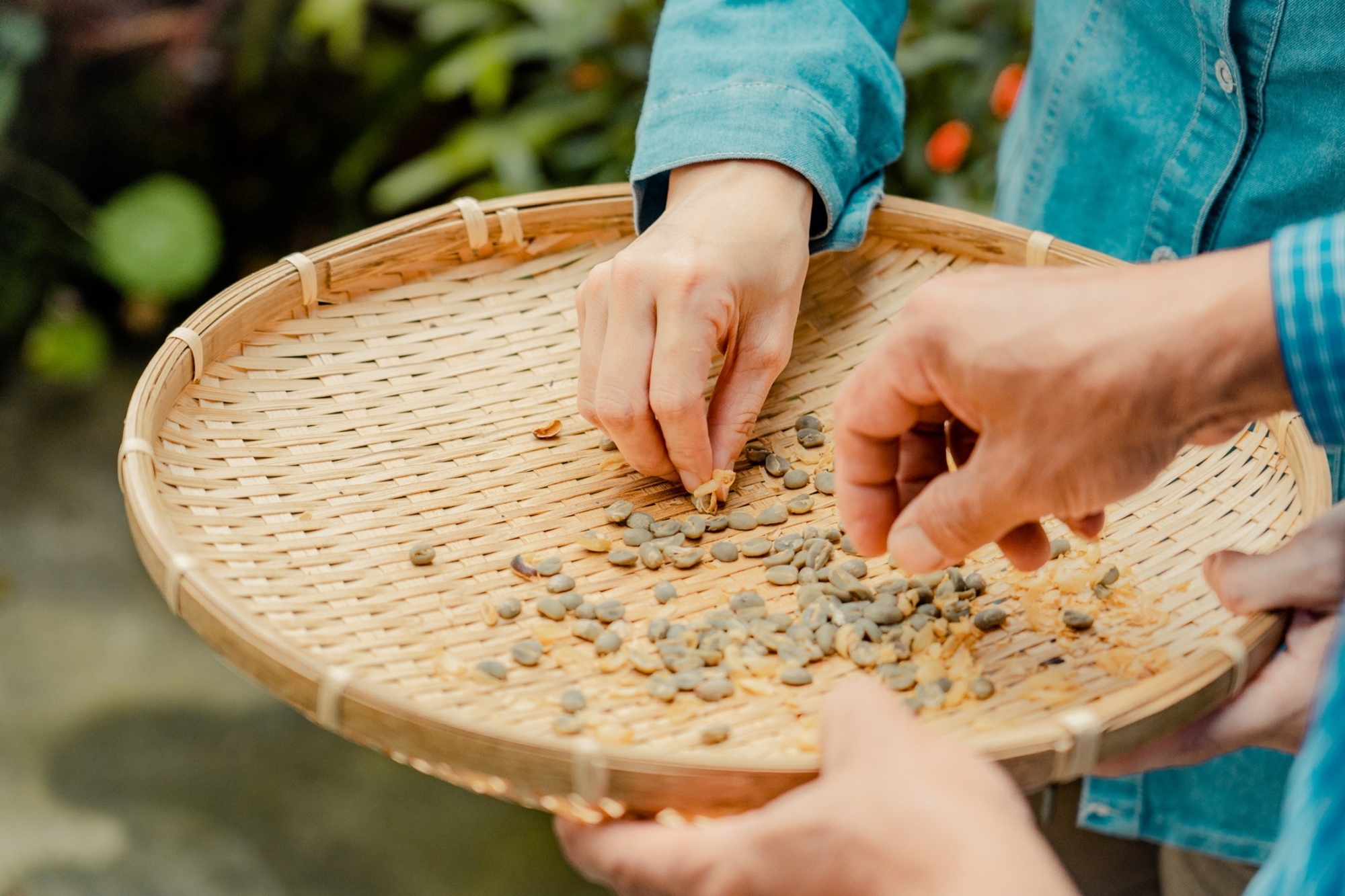 不插電咖啡體驗