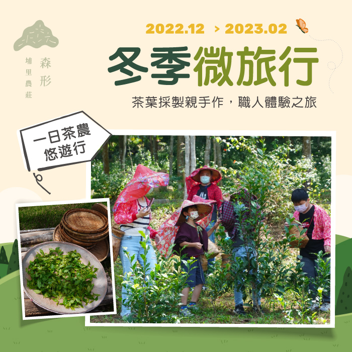 森形埔里農莊-一日茶農悠遊行-茶葉製作體驗