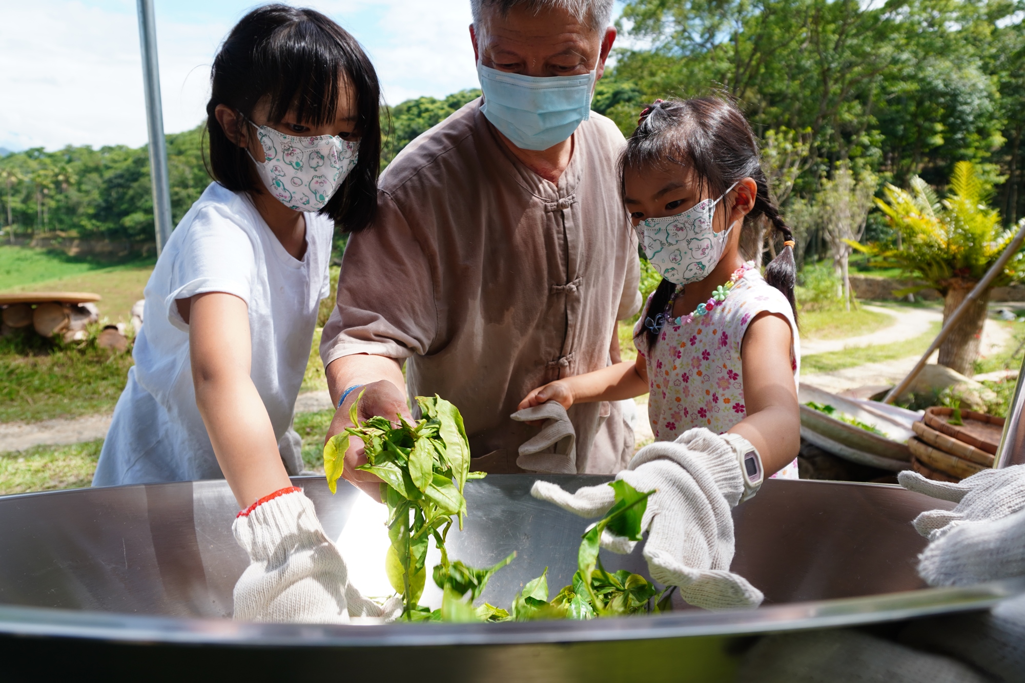 森形埔里農莊- 茶品園區_炒茶_茶葉體驗活動