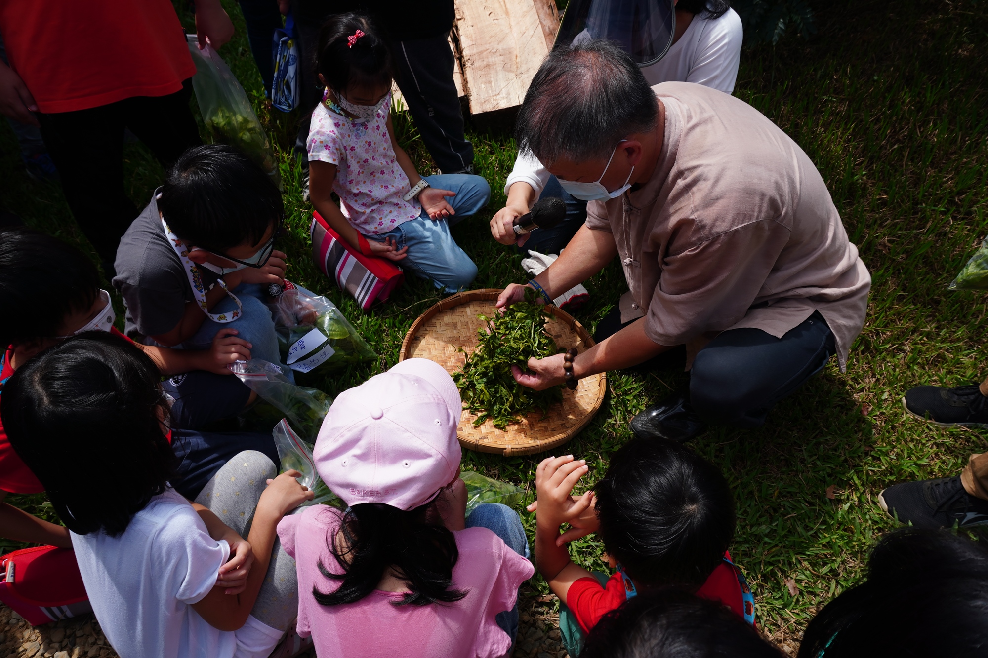森形埔里農莊- 茶品園區_揉茶_茶葉體驗活動
