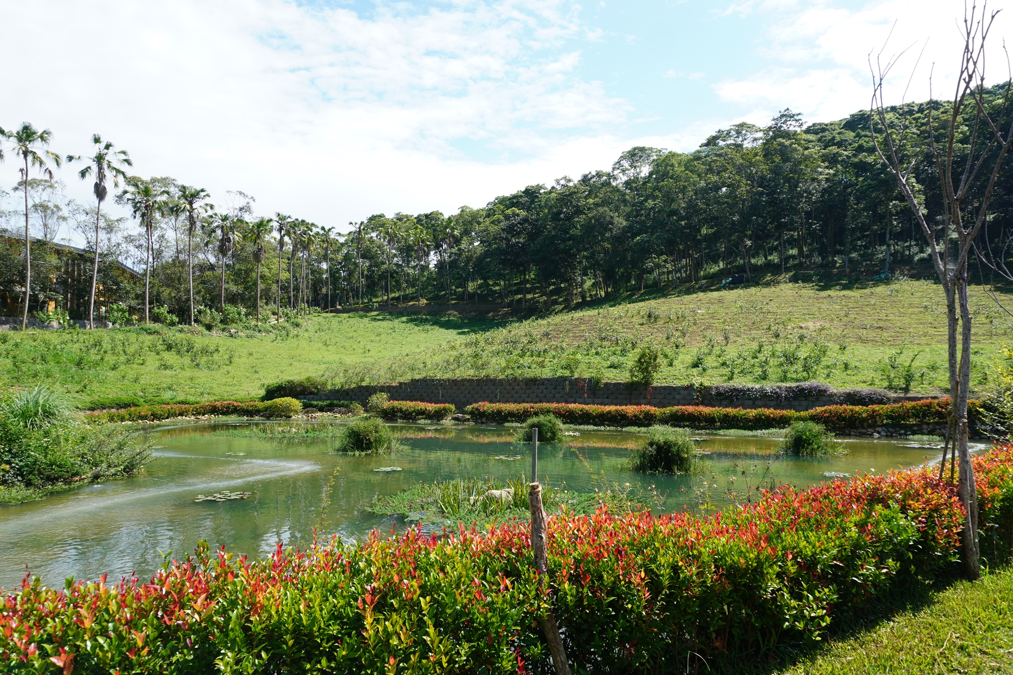 南投-森形埔里農莊- 茶品園區_沁池(一心二葉)