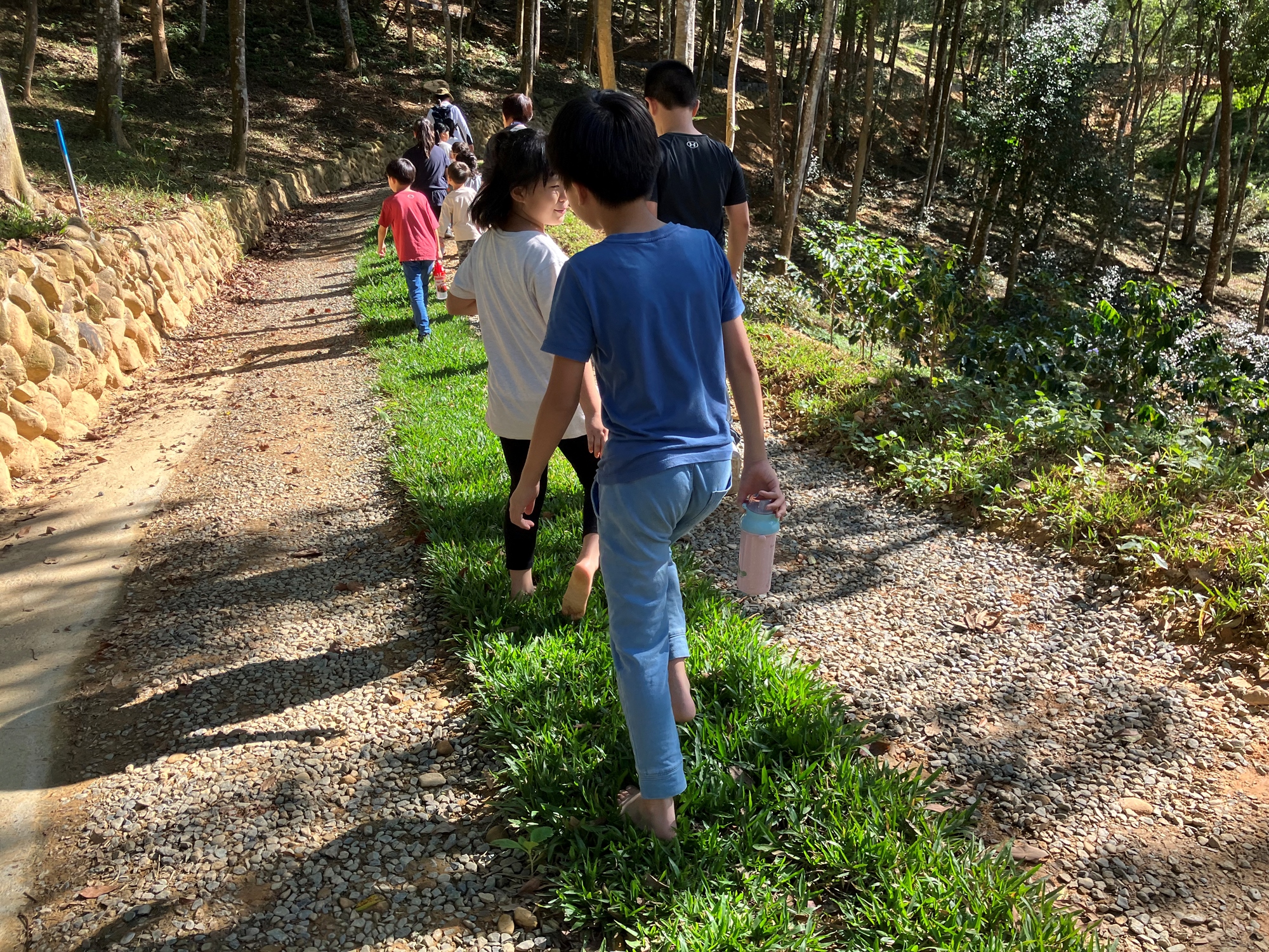 南投-森形埔里農莊- 茶品園區_林間步道_健行