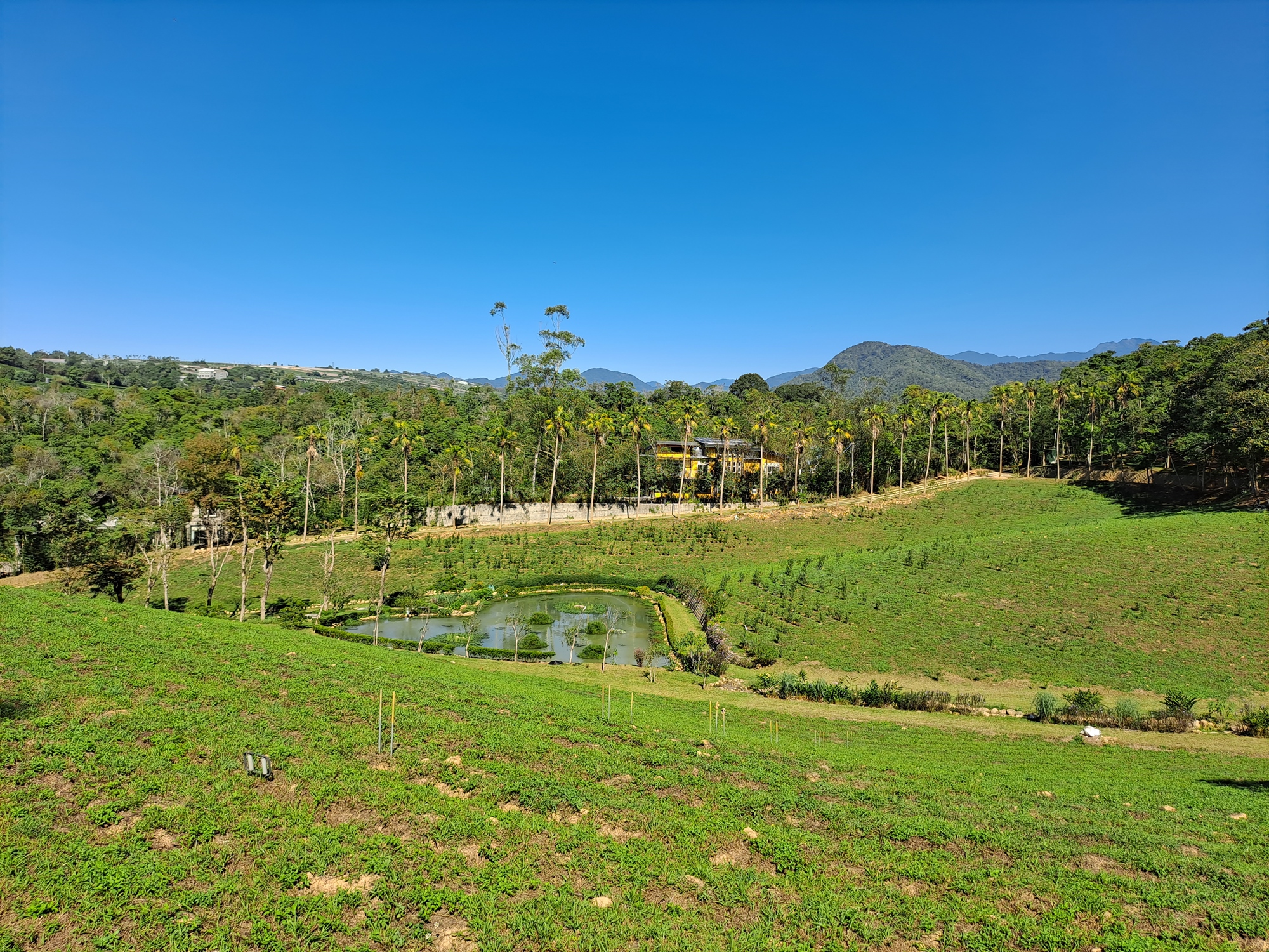 南投-森形埔里農莊- 茶品園區_沁池(一心二葉)