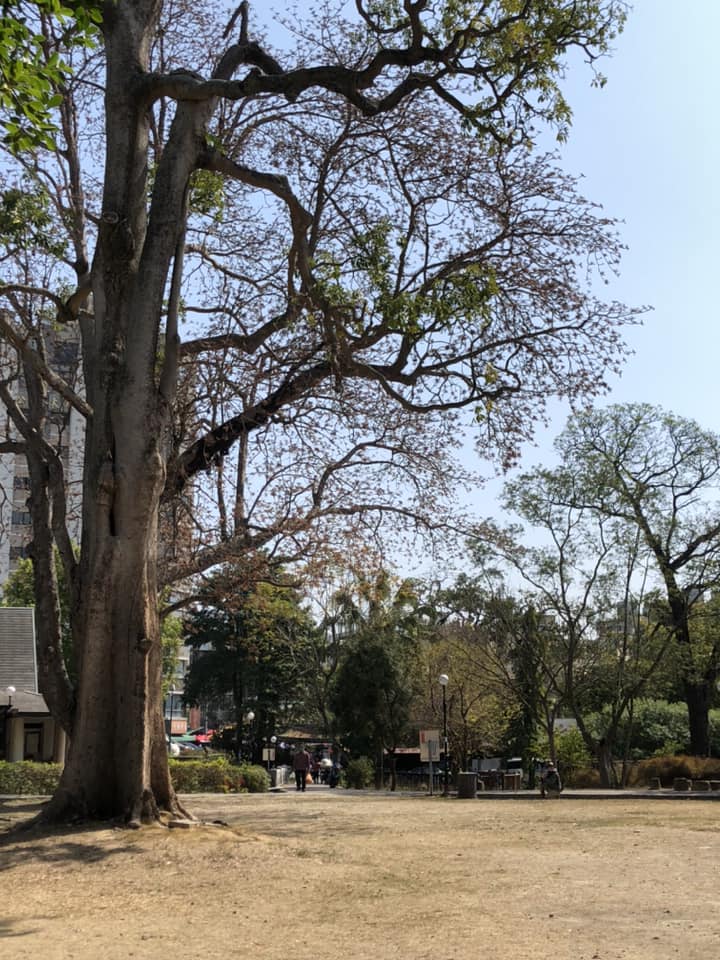 南投市中山公園