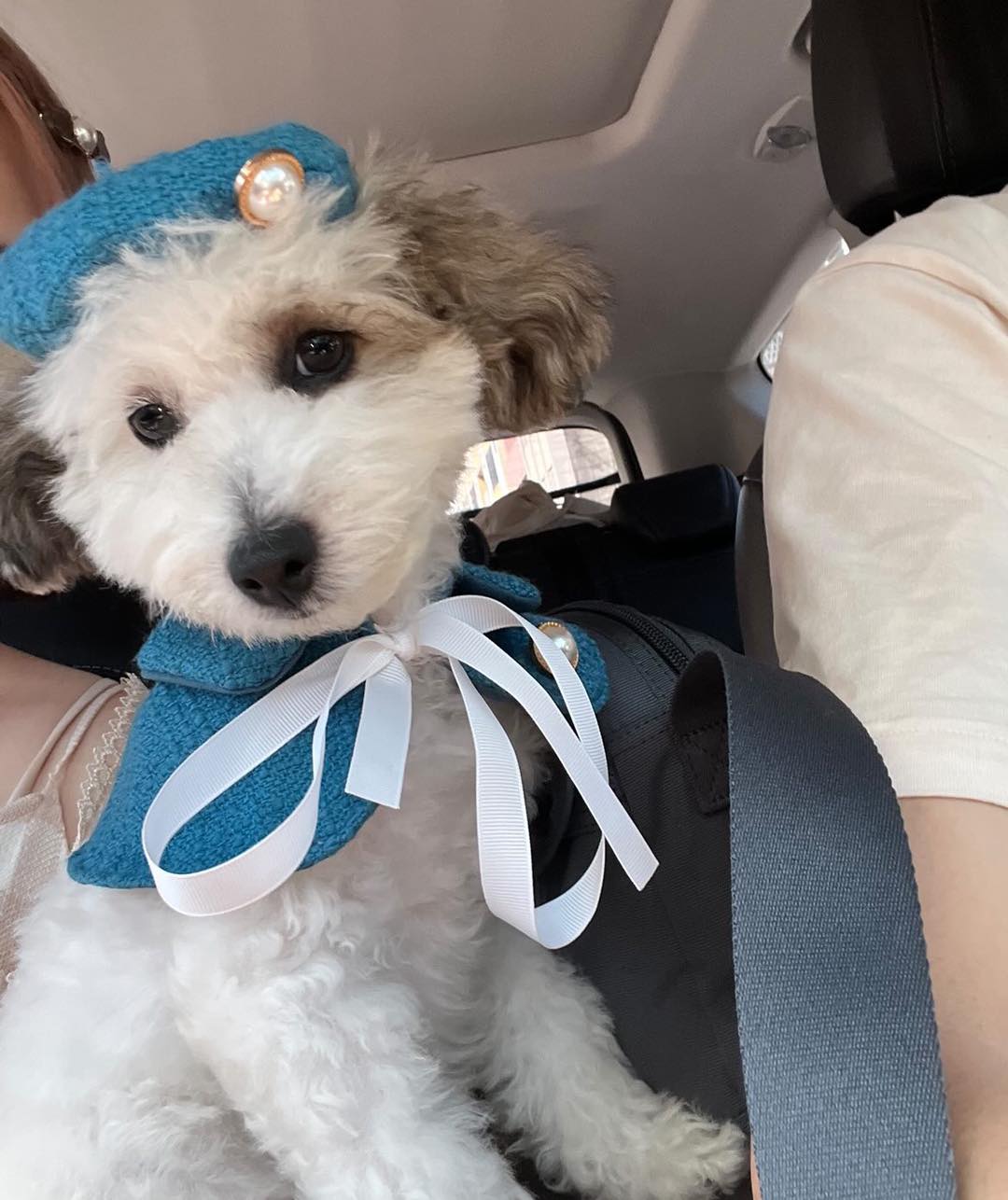 好日市集｜春櫻蕩漾