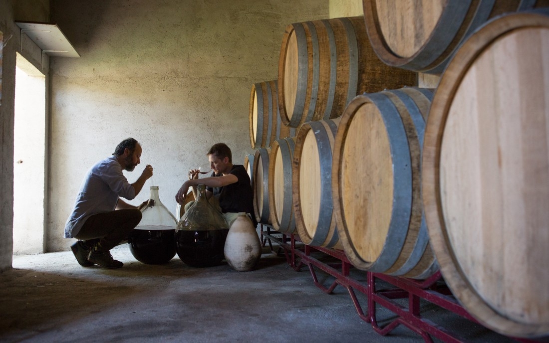 阿莫酒莊_自然農莊