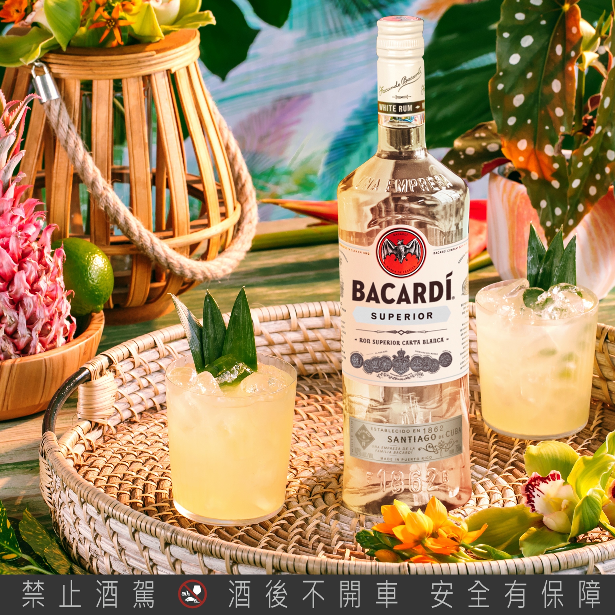 BACARDI百加得_威醺生活日