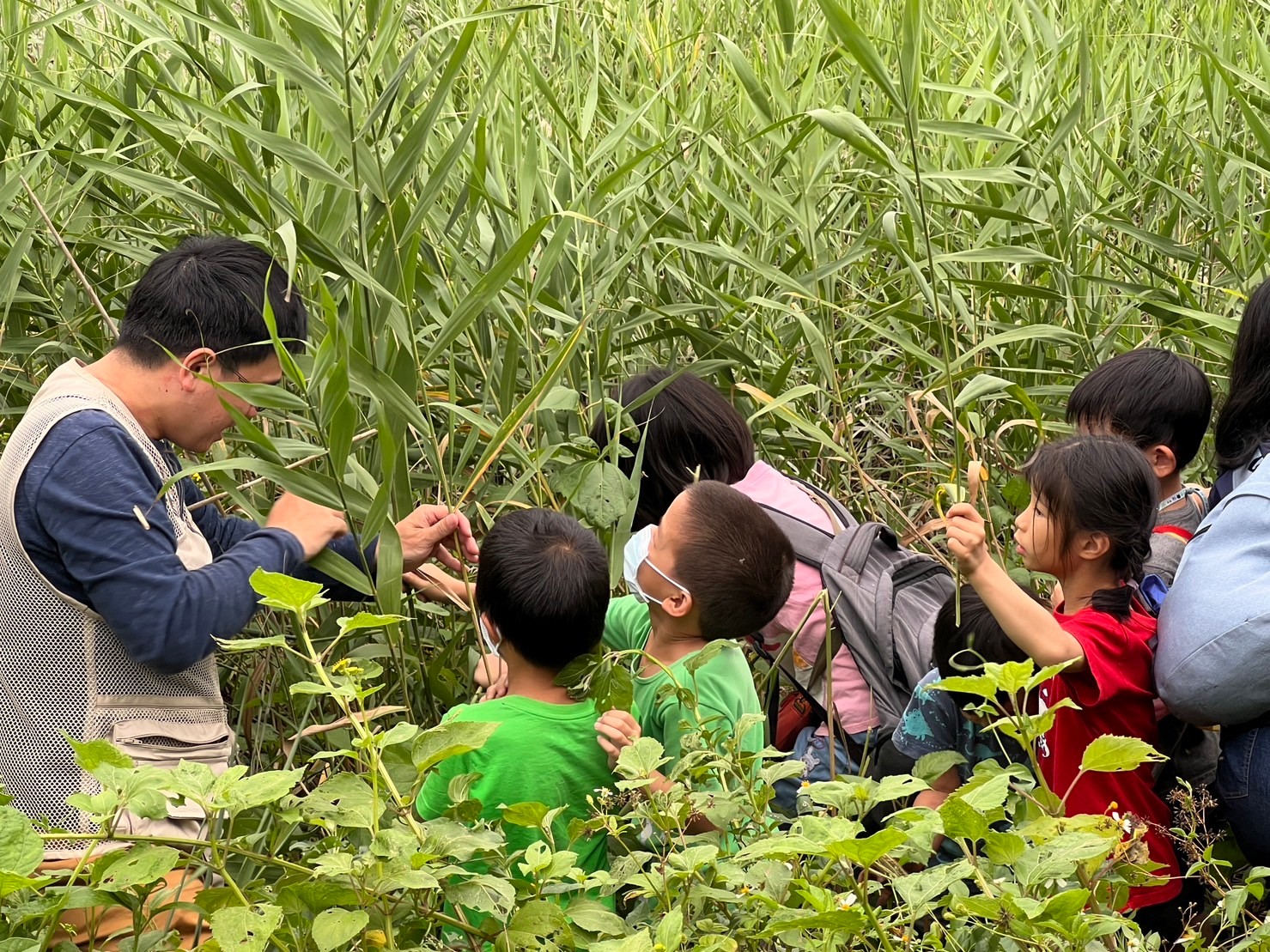 小築親子活動帶大家親近自然、深入濕地。