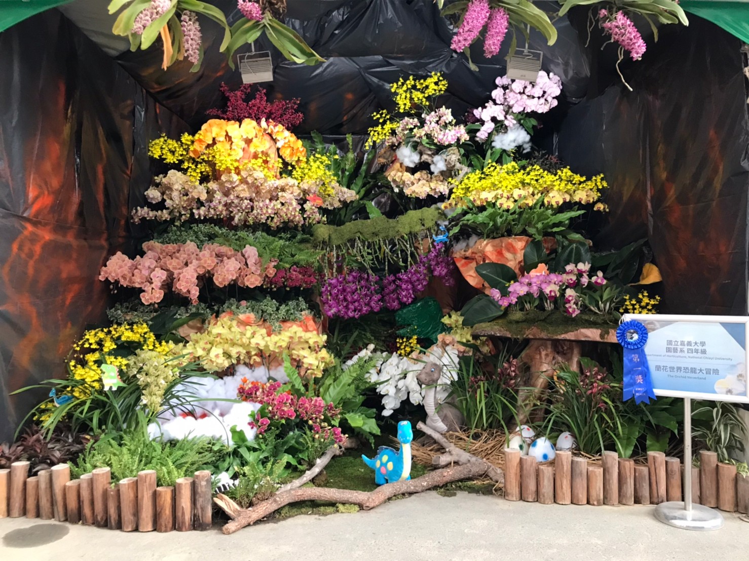 蘭花展、展覽、策展、花卉、蘭花、台南必玩