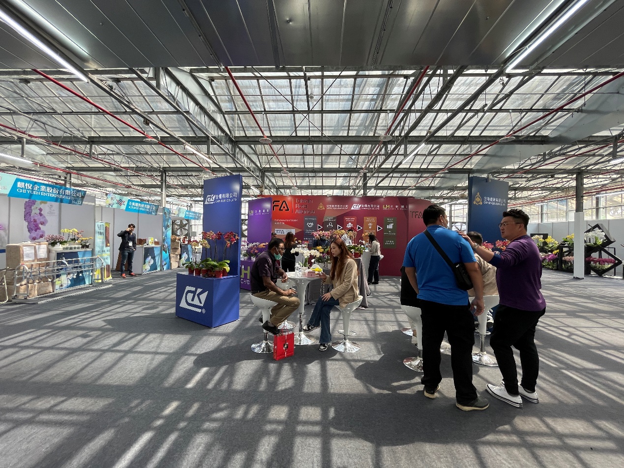 蘭花展、展覽、策展、花卉、蘭花、台南必玩