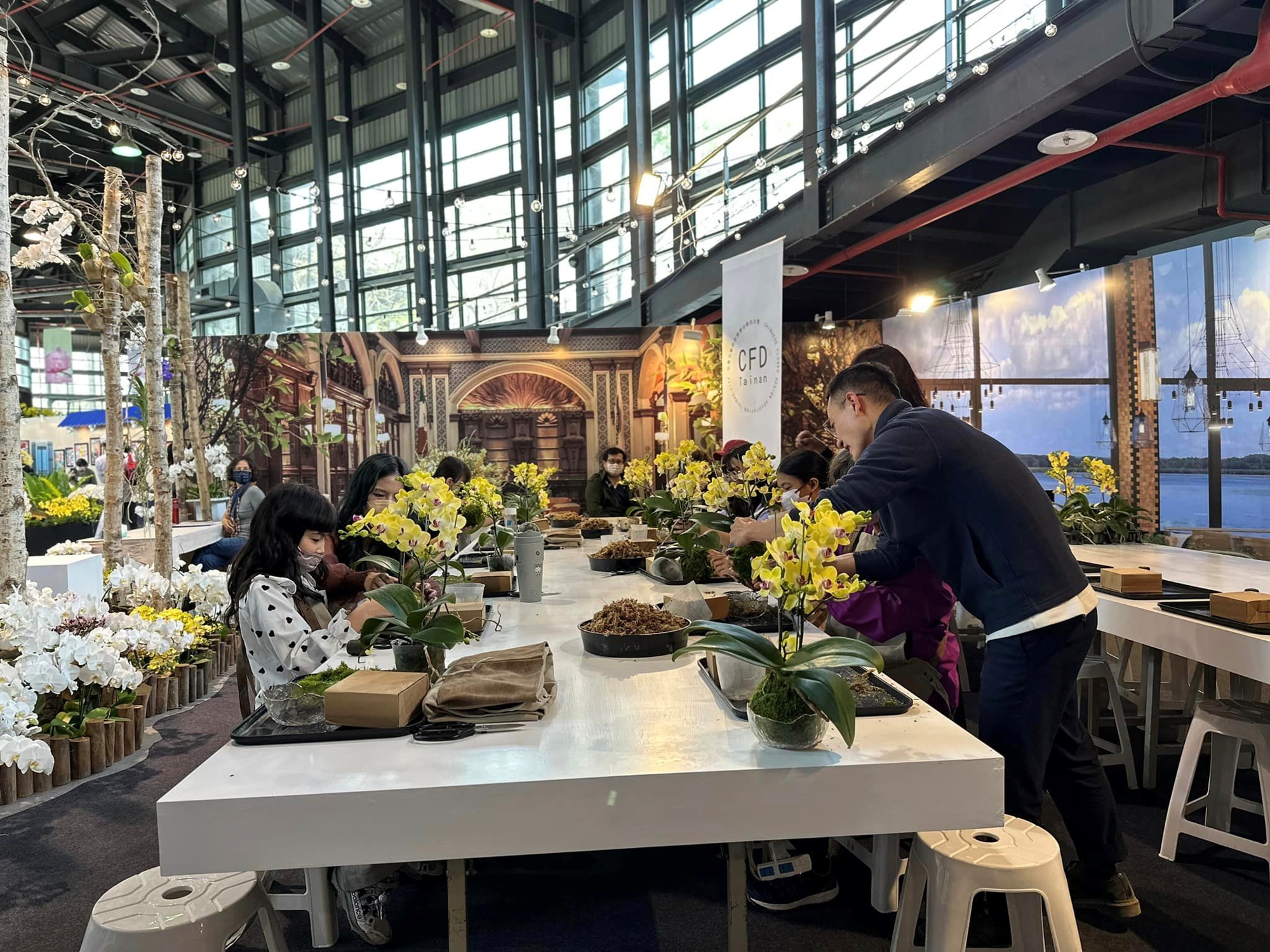 蘭花展、展覽、策展、花卉、蘭花、台南必玩