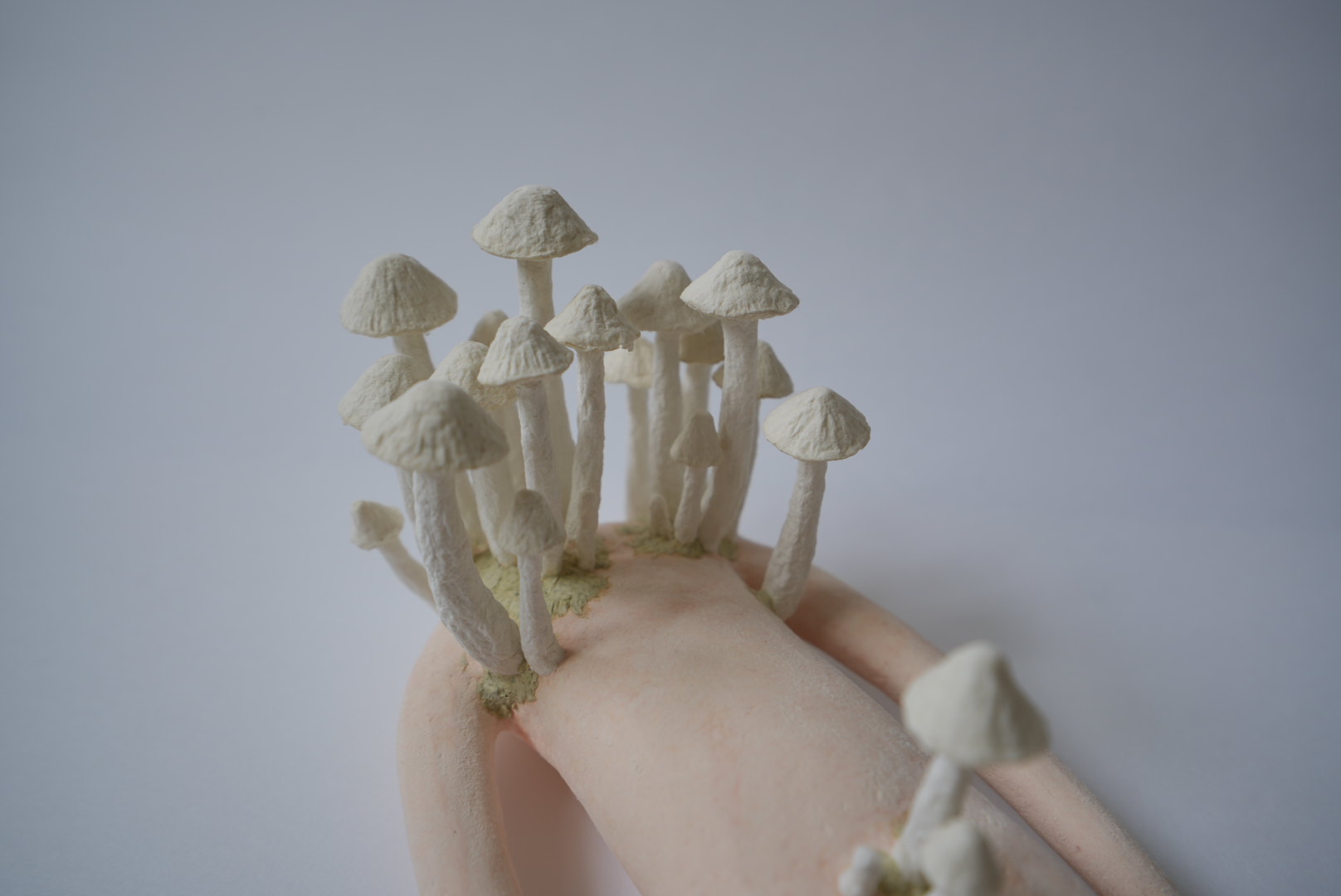 雄獅星空_惑星之森_劉銘軒紙漿雕塑展_長香菇人