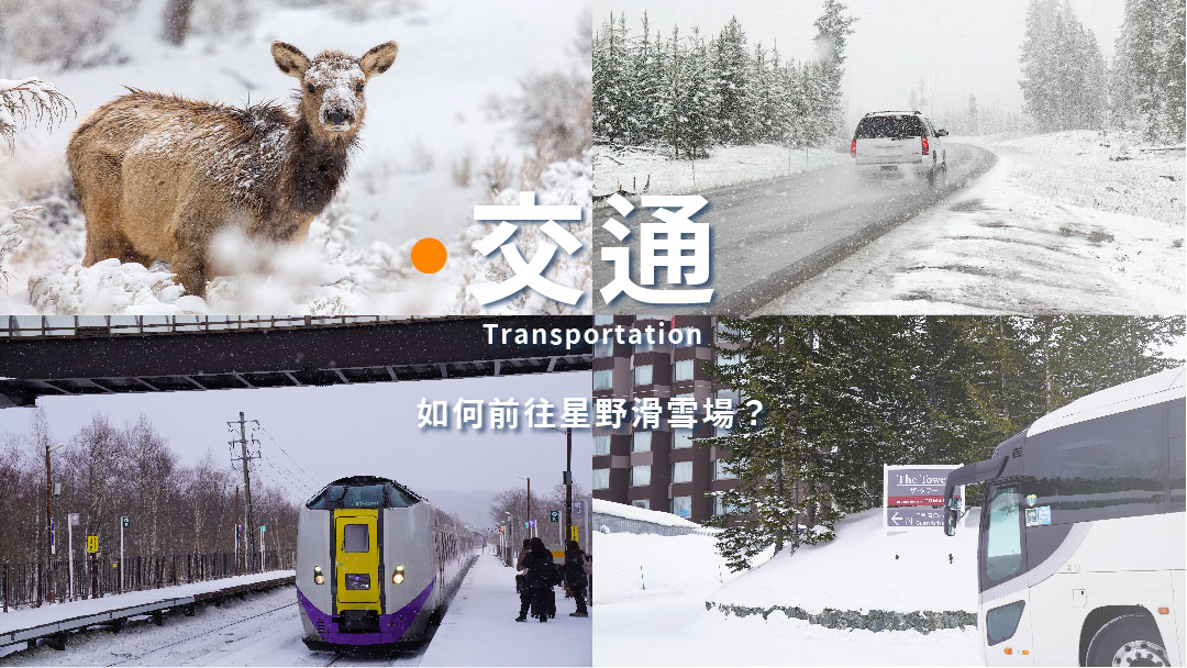 如何前往星野滑雪場
