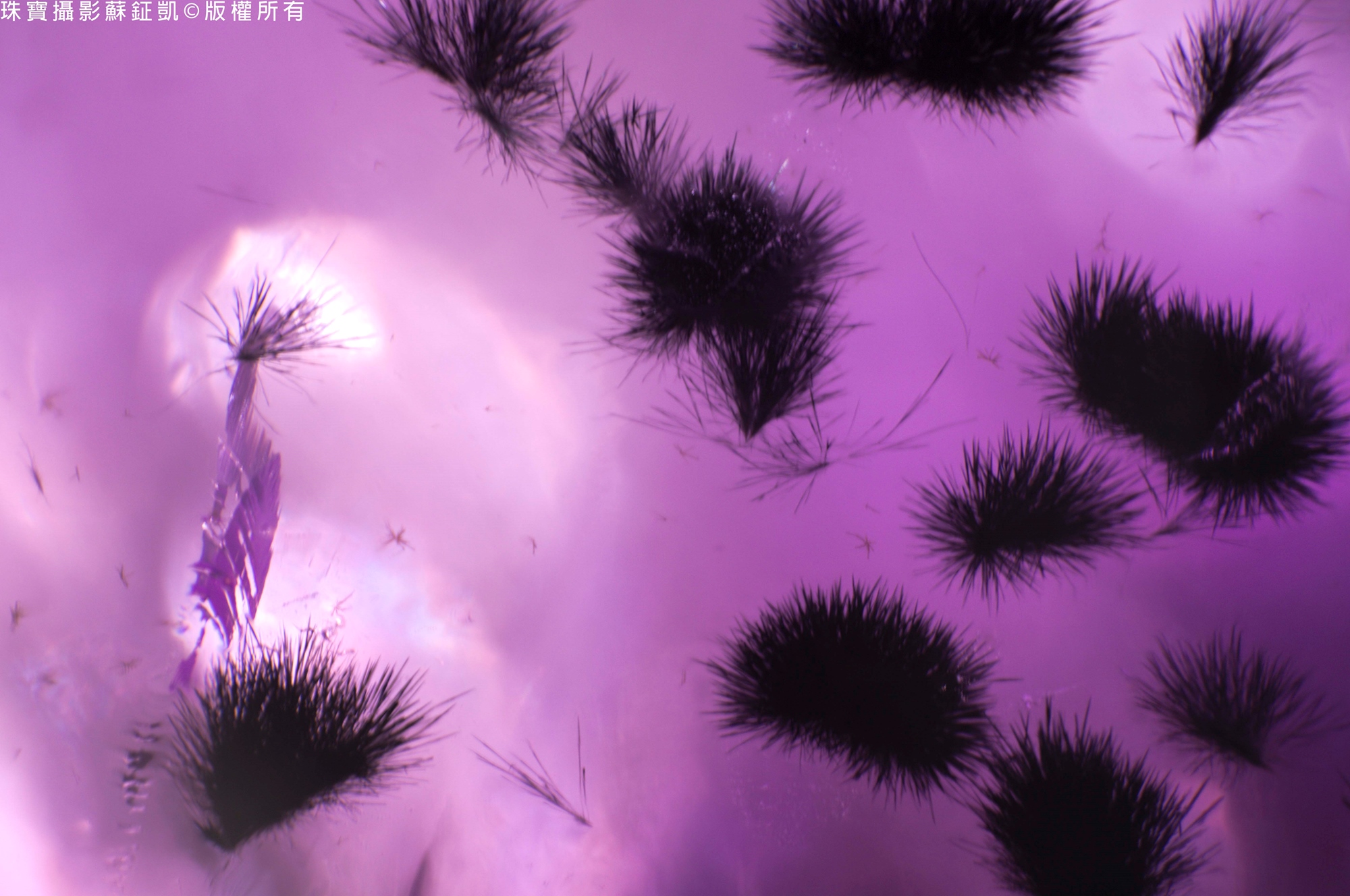 微象攝影－晶礦異世界