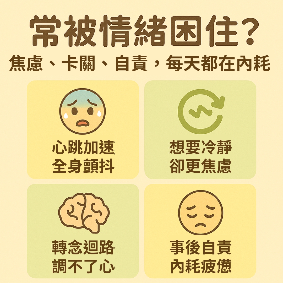 正念冥想的力量②:安定情緒,身心不內耗|ACCUPASS