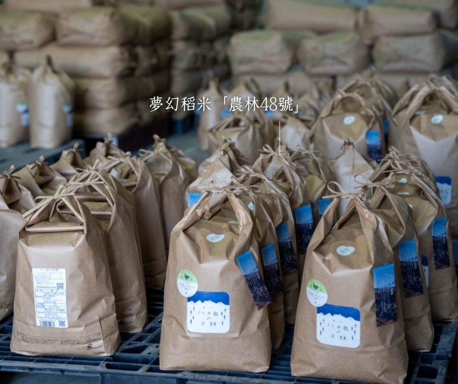 日本米品種「農林48號」收穫後包裝成米袋整齊排列，象徵今井農園八岳米的產地品牌與農業故事。