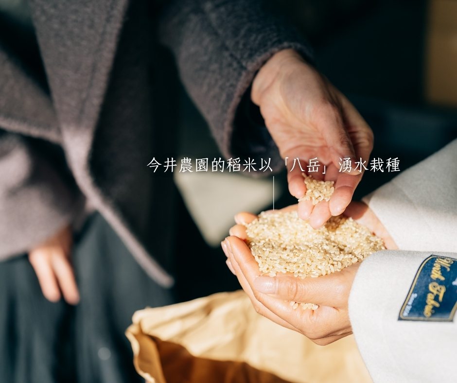 今井農園以八岳湧水栽培的日本米，手捧新米展示米粒質地，呈現產地與食物之間的連結。