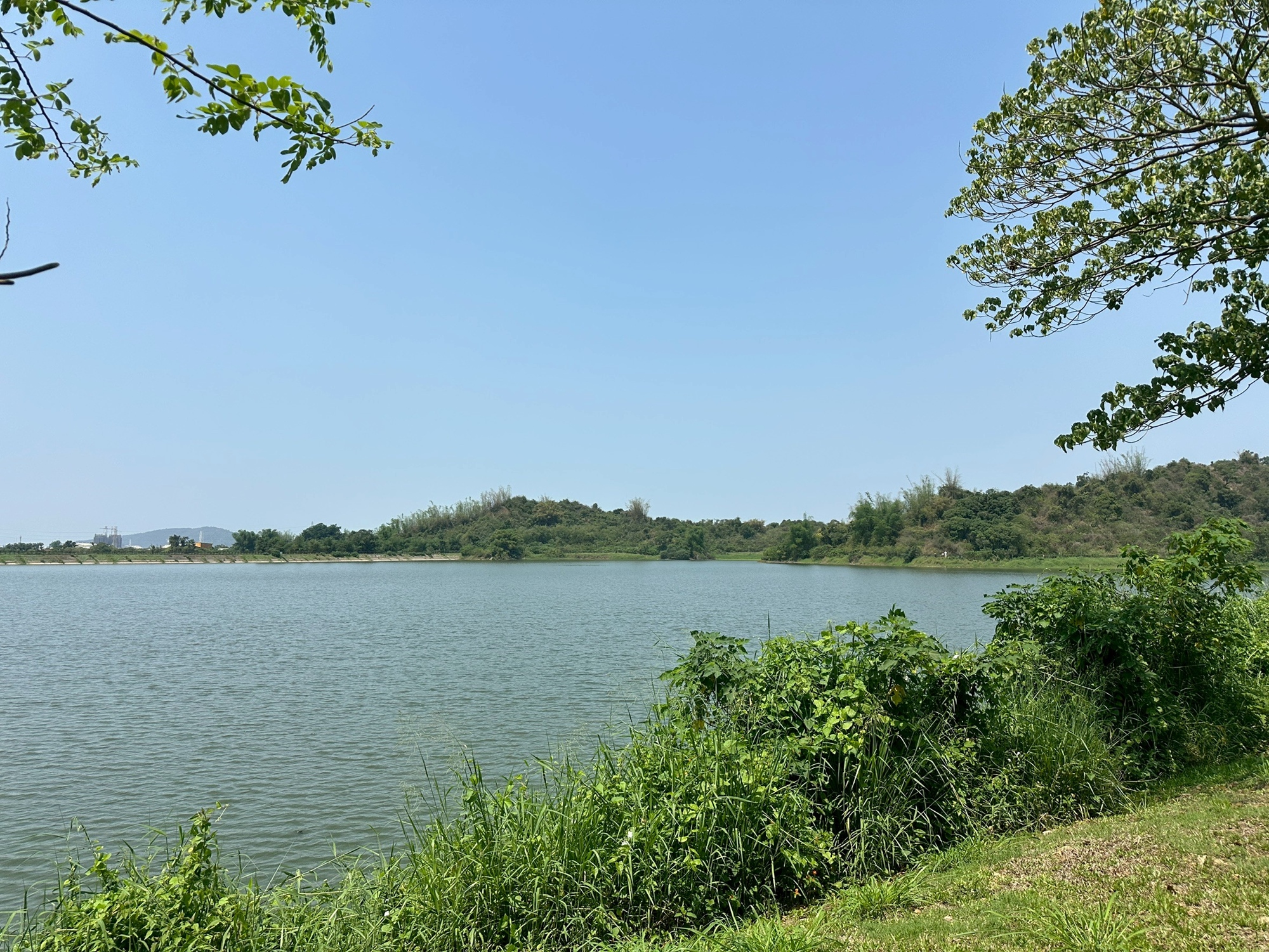 觀音湖全景